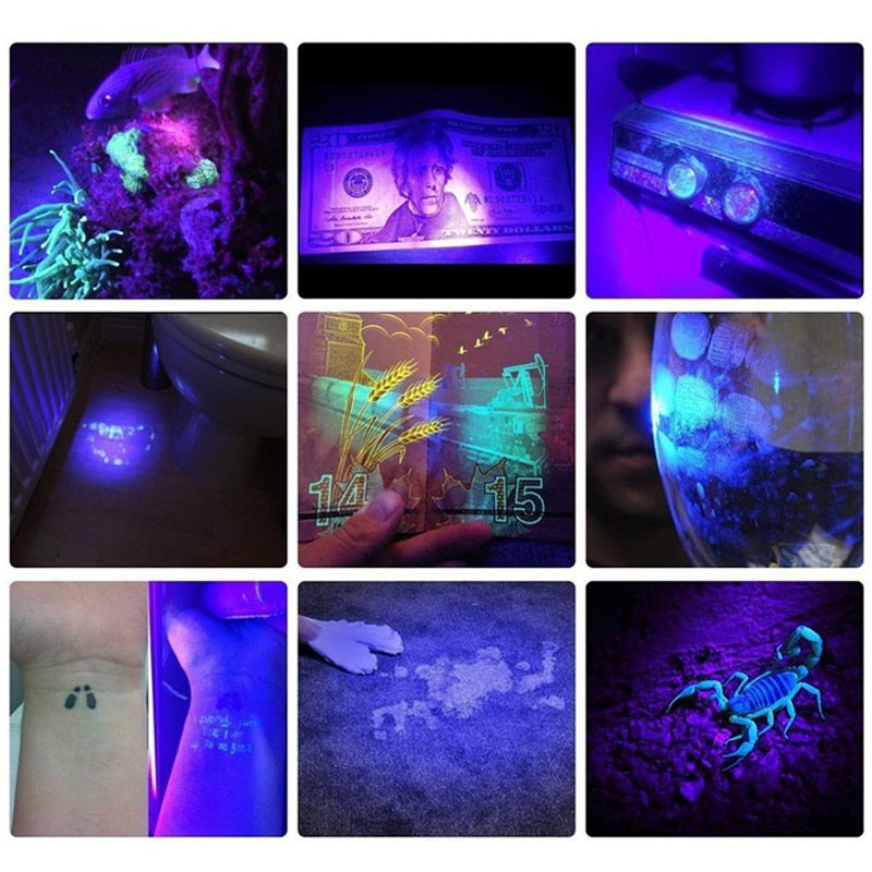 UV Lamp USB Rechargeable Ultraviolet Flashlight uv light