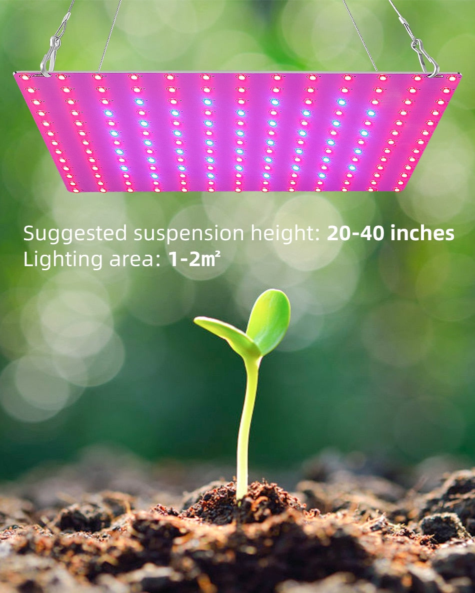 LED Plant Grow Light 1000W/2000W Full Spectrum Hydroponic Growing Lamp Plants