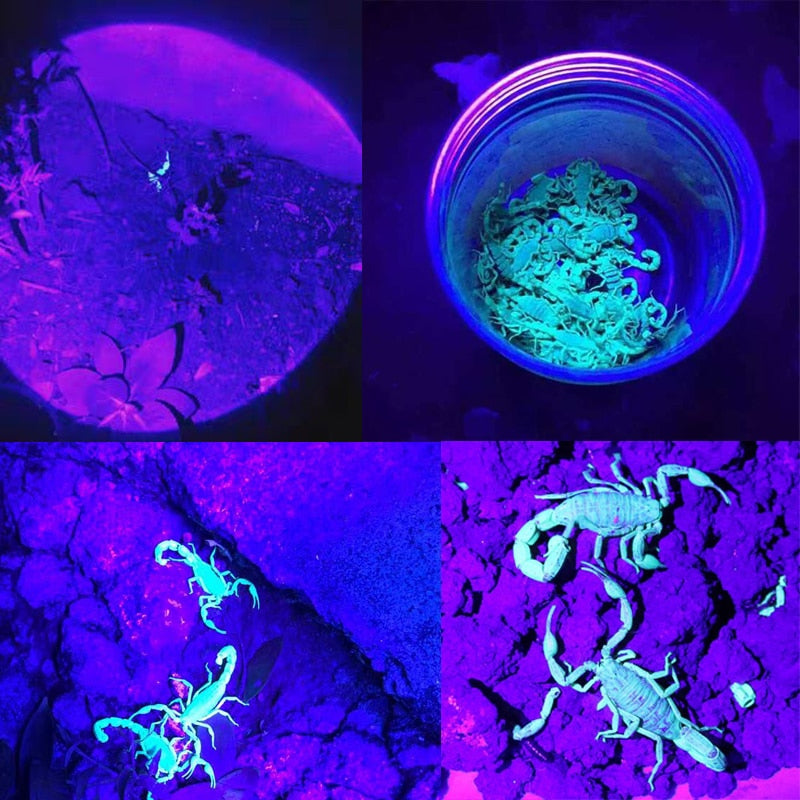 Purple White Dual Light Flashlight Ultraviolet Torch Zoom Retractable UV Flashlight