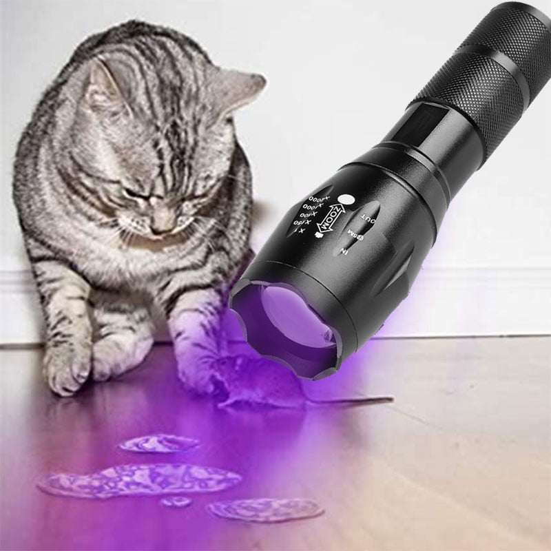 Purple White Dual Light Flashlight Ultraviolet Torch Zoom Retractable UV Flashlight