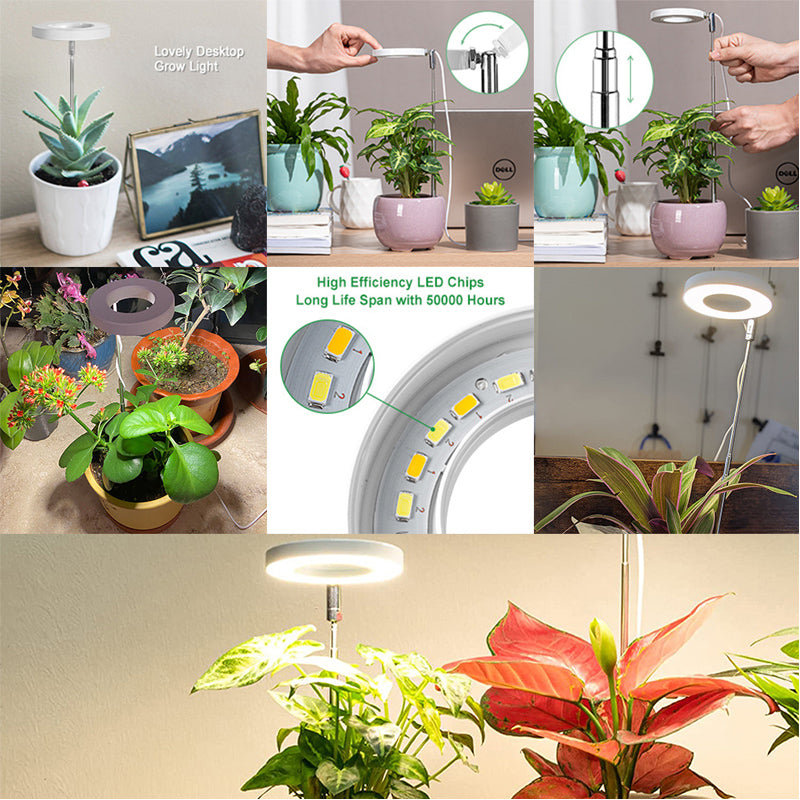 LED Grow Light Full Spectrum Plant Growth Light Ring Grow Light